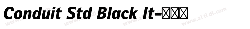 Conduit Std Black It字体转换